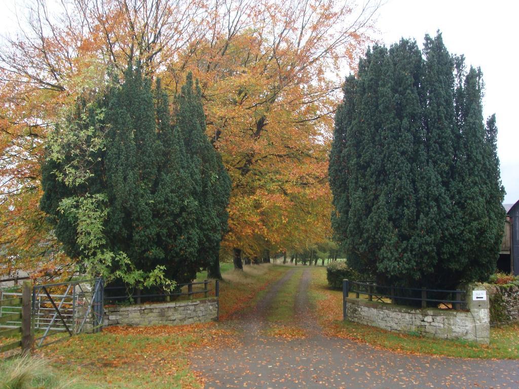 Abbotshaw House Farm B&B Newcastleton 외부 사진