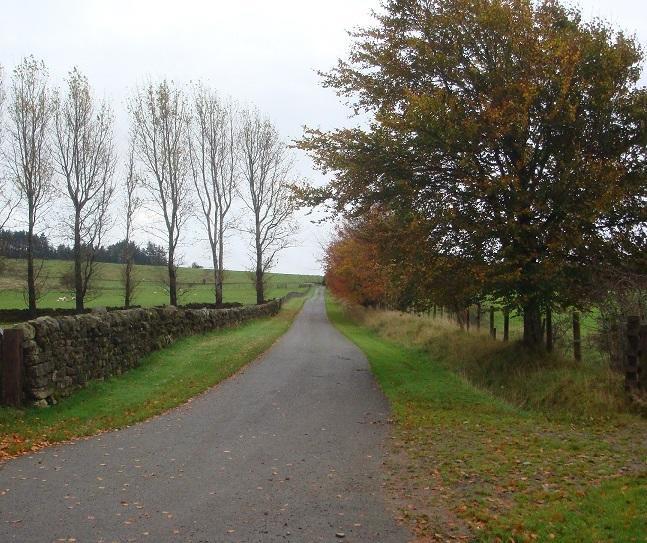 Abbotshaw House Farm B&B Newcastleton 외부 사진